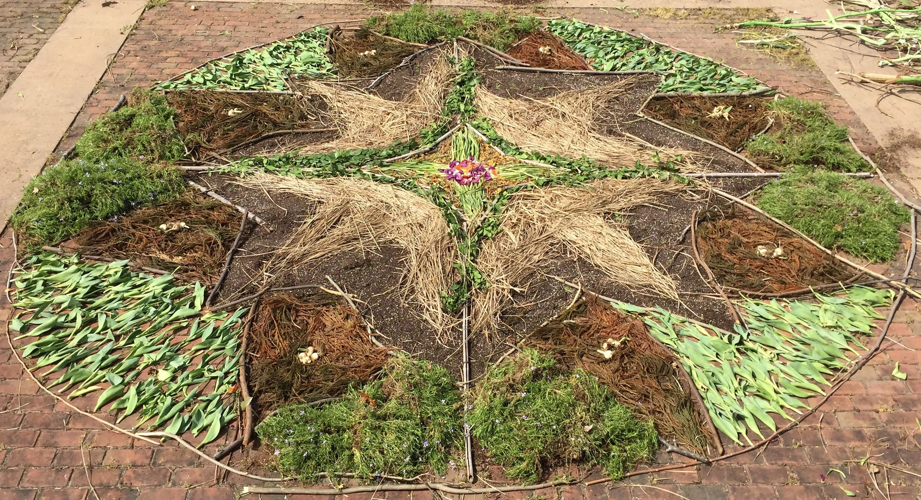 Plant exhibit at Lewis Ginter