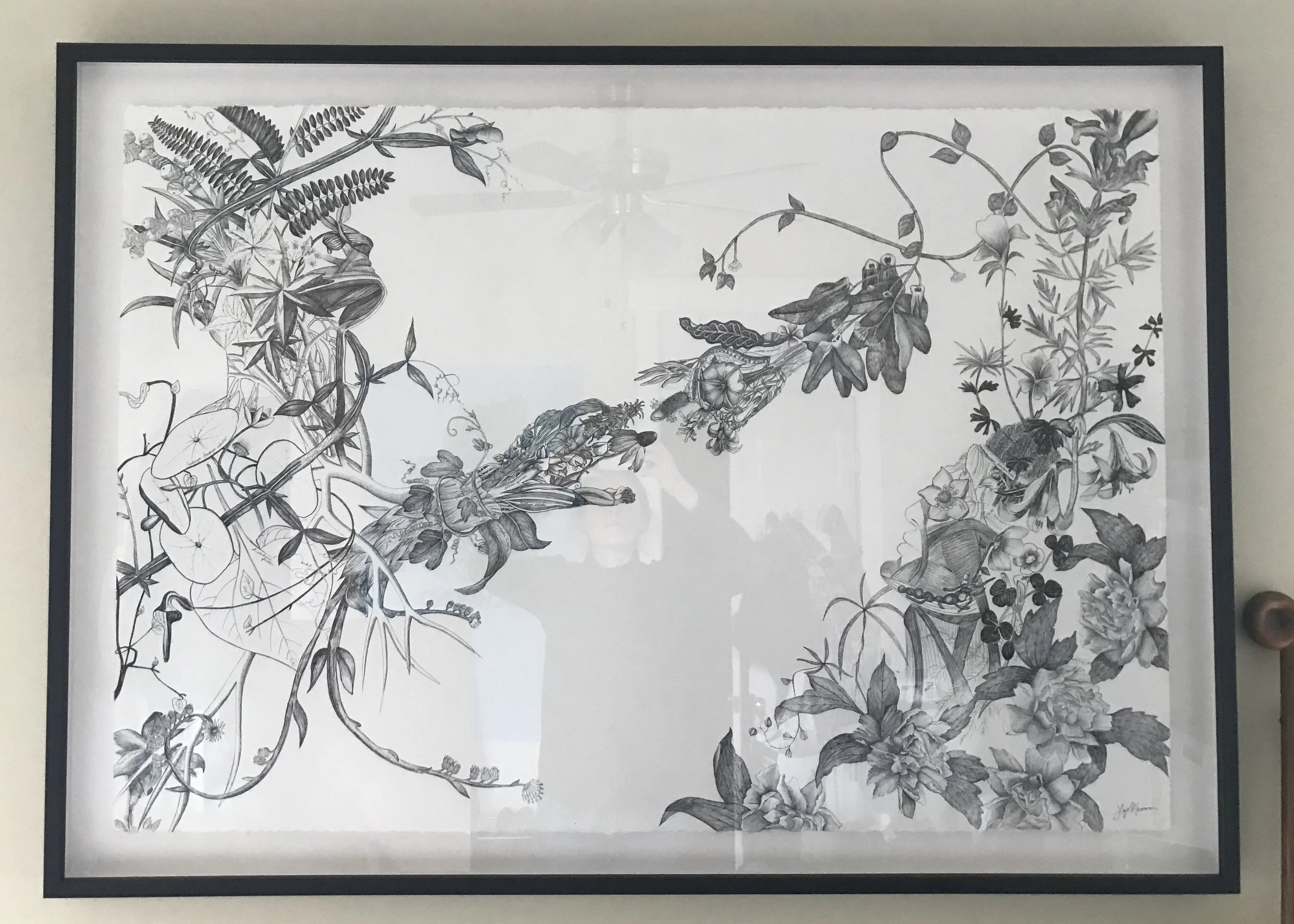 Frame plant drawing