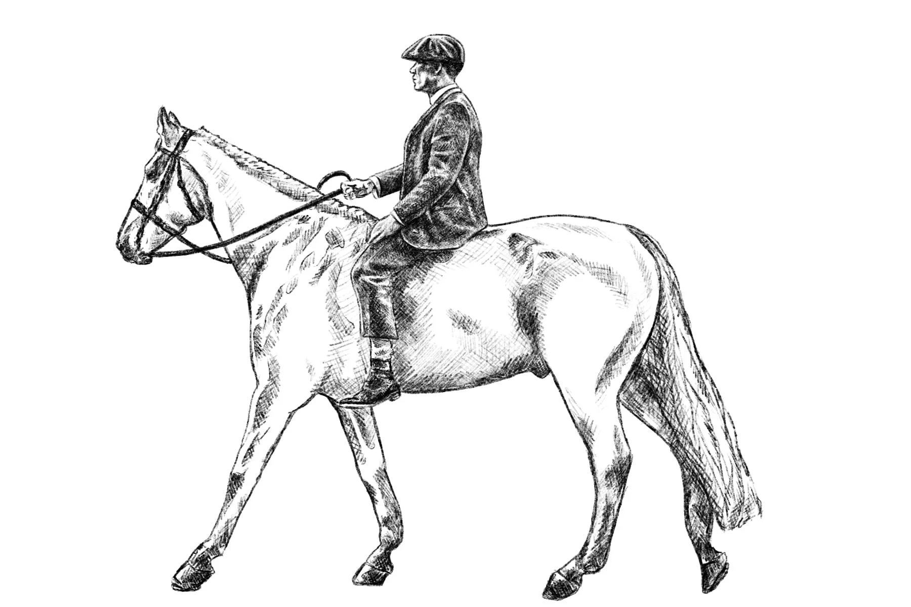 Digital drawing of Thomas Shelby on horse